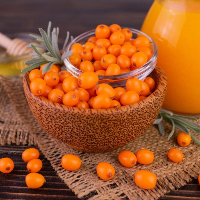 Mehr über den Artikel erfahren Sanddorn – die kleine Frucht mit großer Wirkung