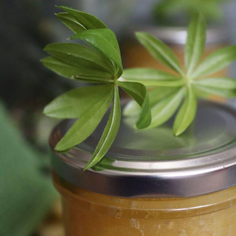 Waldmeister 4